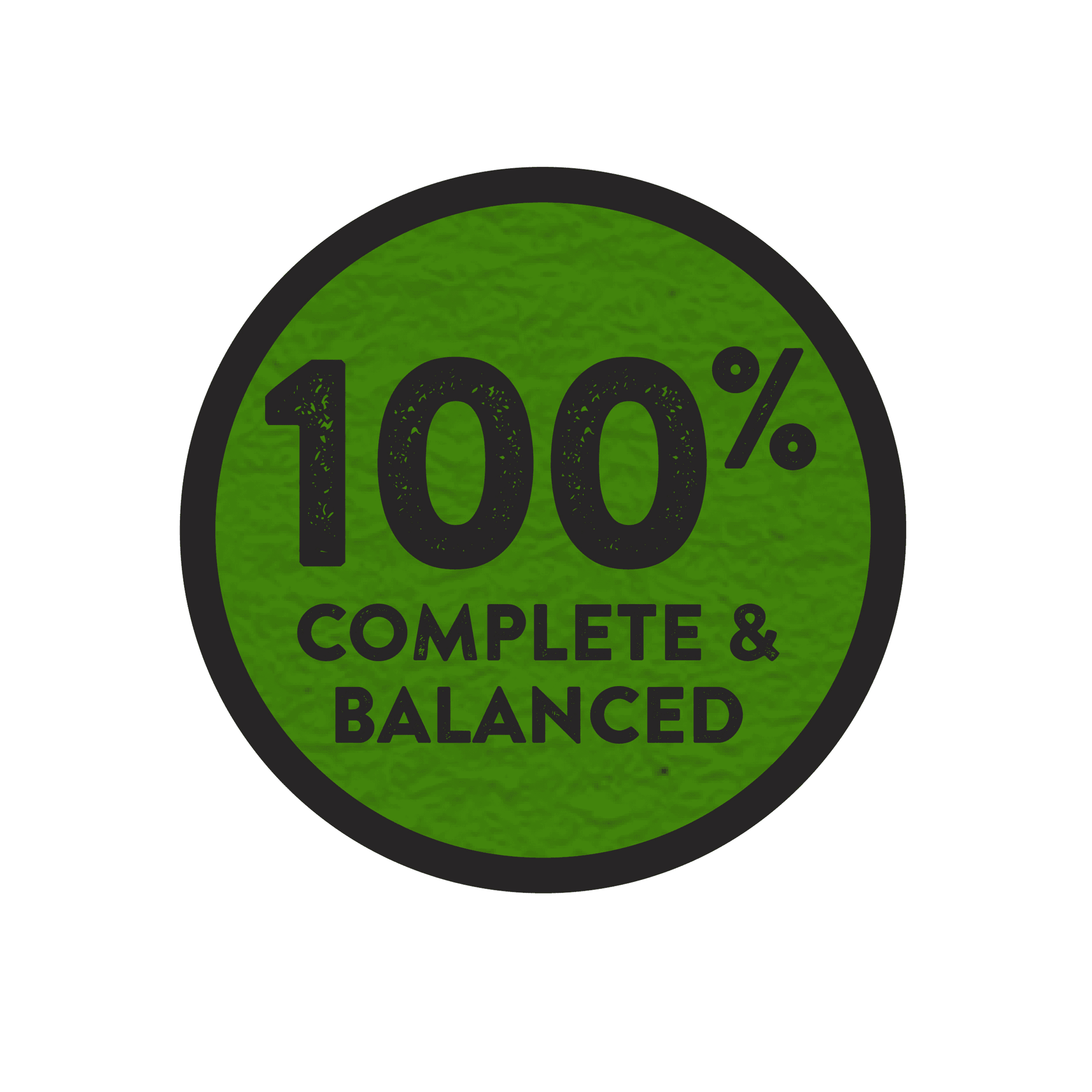 Purina Dog Chow High Protein Wet Dog Food with Real Lamb in Gravy 13oz - Image 4