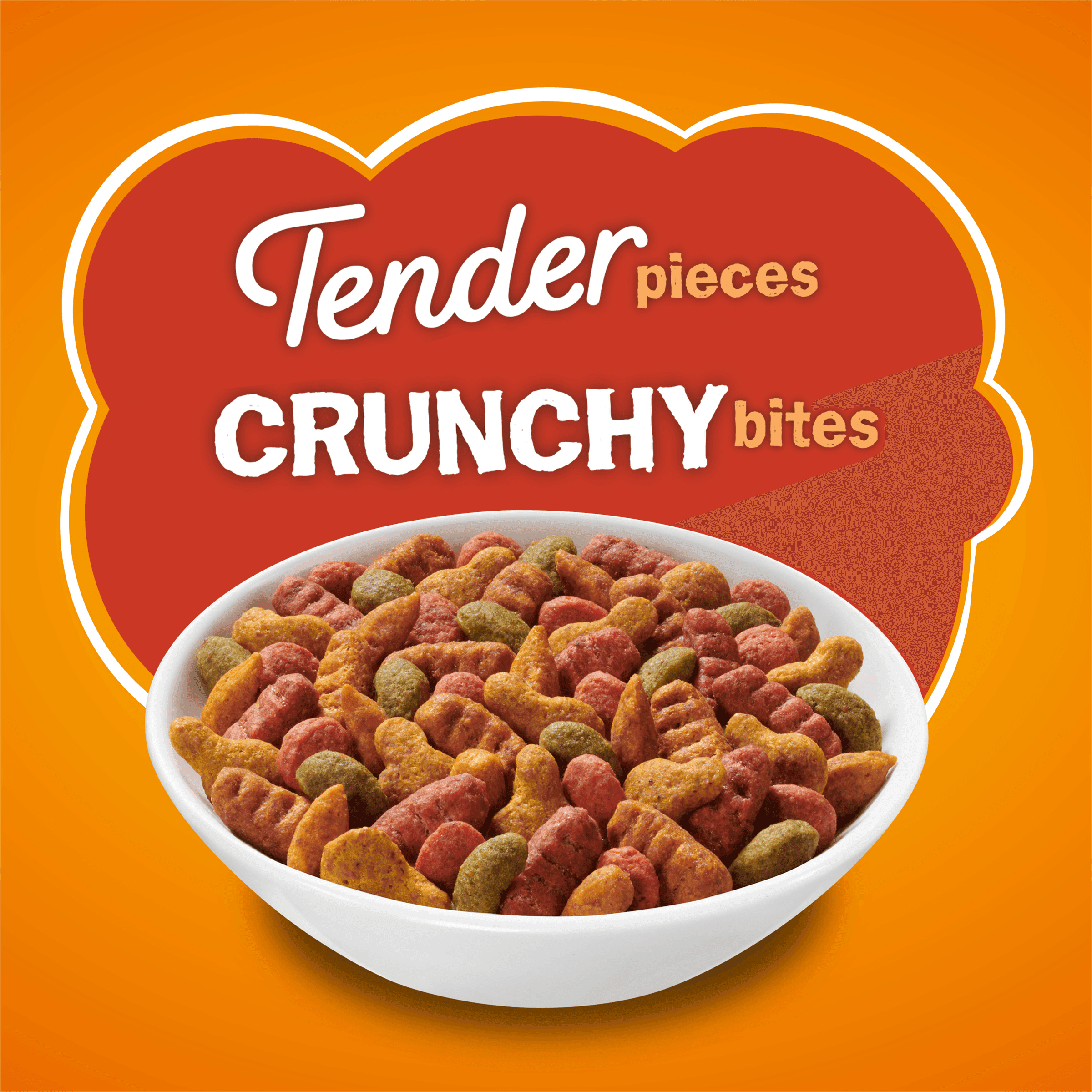 Friskies Tender & Crunchy Combo Dry Cat Food - Donations - Image 2