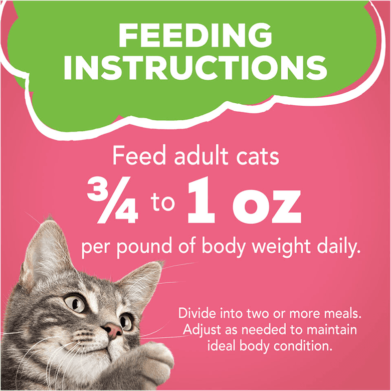 Friskies Paté Salmon Dinner Wet Cat Food 5.5oz - Donations - Image 2