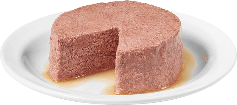 Friskies Paté Salmon Dinner Wet Cat Food 5.5oz - Donations - Image 4