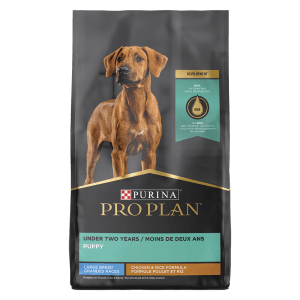Purina Pro Plan Puppy Large Breed Chicken & Rice Formula