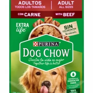 Purina Dog Chow Pouch with Beef