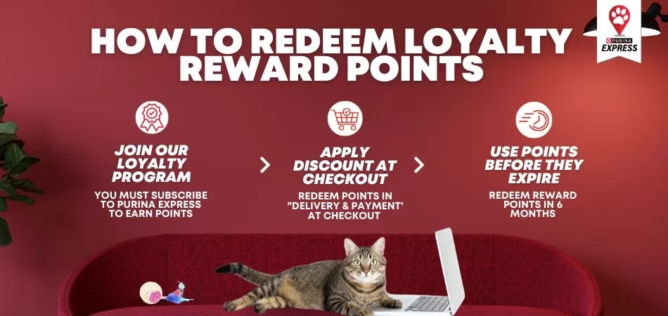 loyalty mobile banner