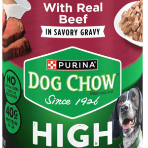 Purina Dog Chow High Protein Wet Dog Food with Real Beef in Gravy 13oz